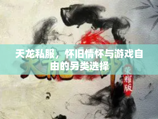天龙私服，怀旧情怀与游戏自由的另类选择