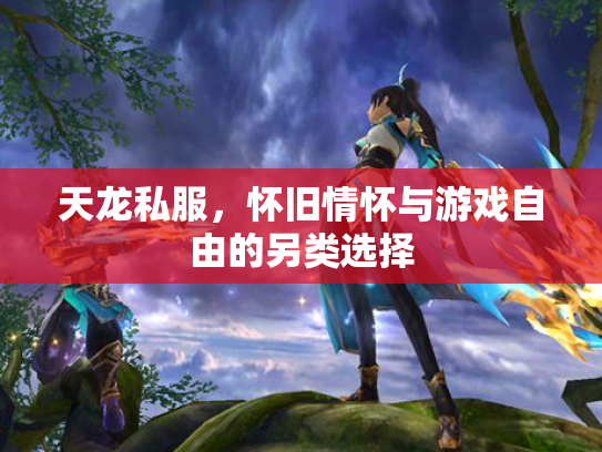 天龙私服，怀旧情怀与游戏自由的另类选择