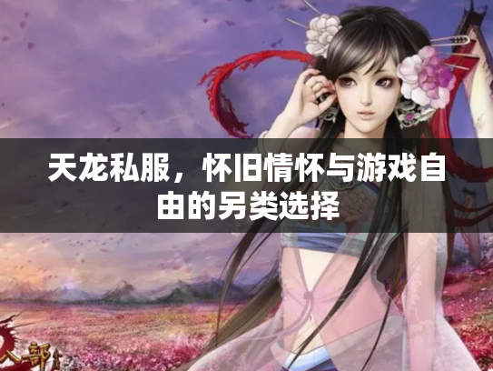天龙私服，怀旧情怀与游戏自由的另类选择