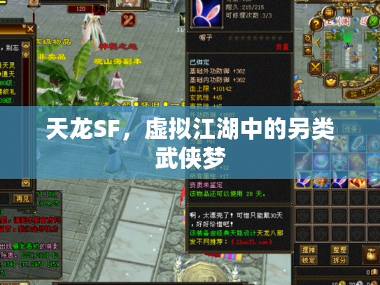 天龙SF，虚拟江湖中的另类武侠梦