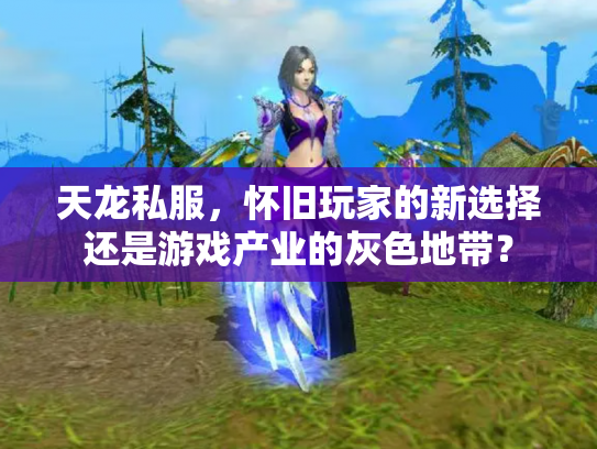 天龙私服，怀旧玩家的新选择还是游戏产业的灰色地带？