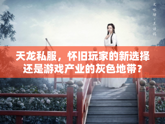 天龙私服，怀旧玩家的新选择还是游戏产业的灰色地带？