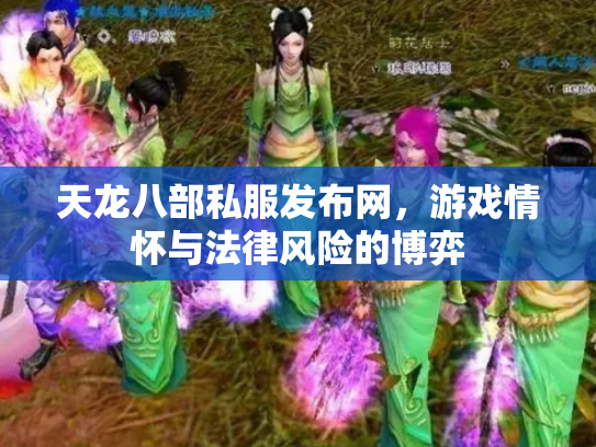 天龙八部私服发布网，游戏情怀与法律风险的博弈