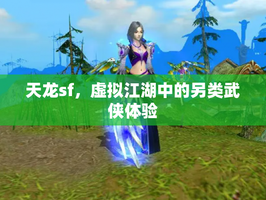 天龙sf，虚拟江湖中的另类武侠体验