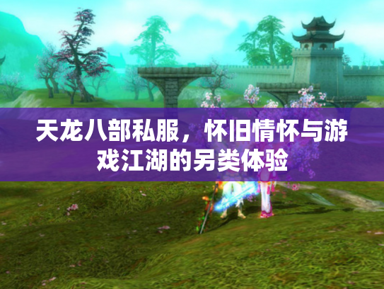 天龙八部私服，怀旧情怀与游戏江湖的另类体验
