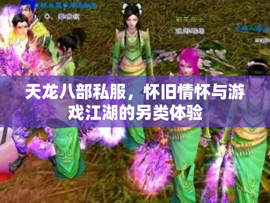 天龙八部私服，怀旧情怀与游戏江湖的另类体验