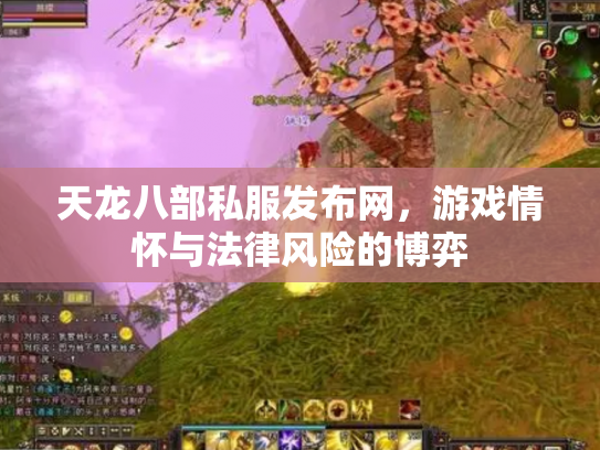天龙八部私服发布网，游戏情怀与法律风险的博弈
