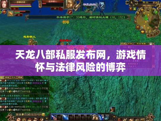 天龙八部私服发布网，游戏情怀与法律风险的博弈