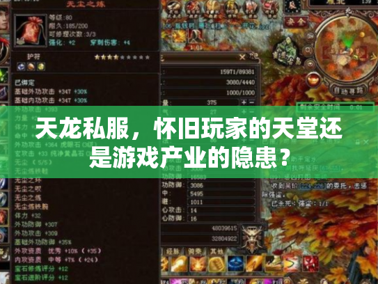 天龙私服，怀旧玩家的天堂还是游戏产业的隐患？