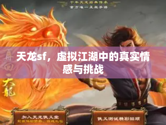 天龙sf，虚拟江湖中的真实情感与挑战