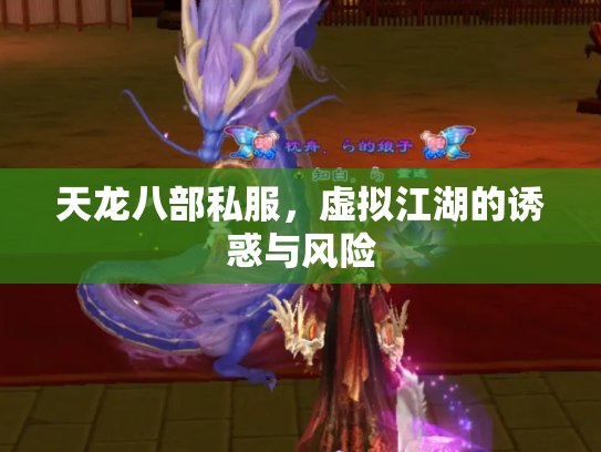 天龙八部私服，虚拟江湖的诱惑与风险