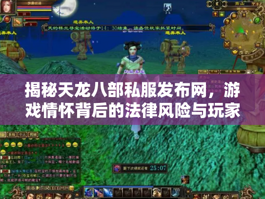 揭秘天龙八部私服发布网，游戏情怀背后的法律风险与玩家选择