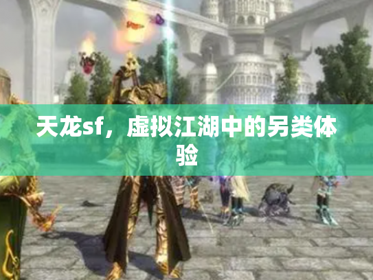 天龙sf，虚拟江湖中的另类体验