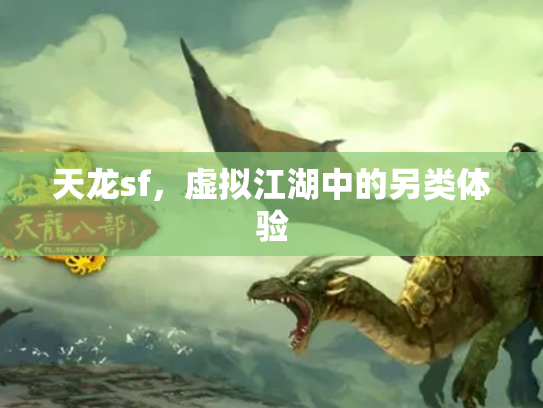天龙sf，虚拟江湖中的另类体验