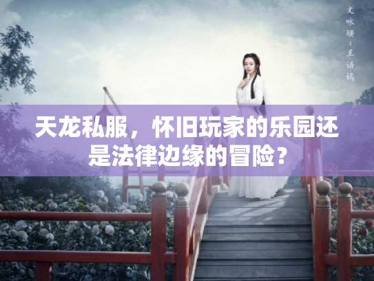 天龙私服，怀旧玩家的乐园还是法律边缘的冒险？