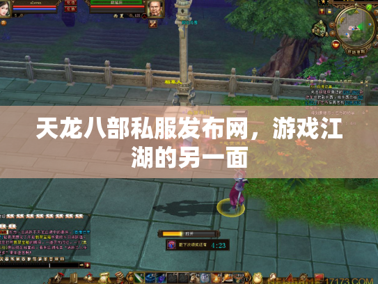 天龙八部私服发布网，游戏江湖的另一面