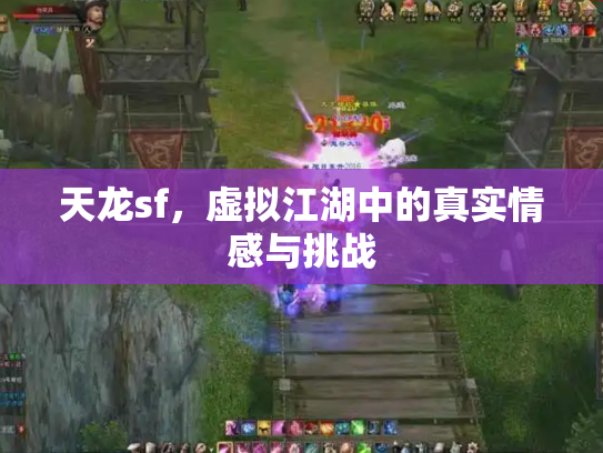 天龙sf，虚拟江湖中的真实情感与挑战