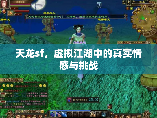 天龙sf，虚拟江湖中的真实情感与挑战