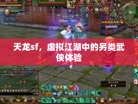 天龙sf，虚拟江湖中的另类武侠体验