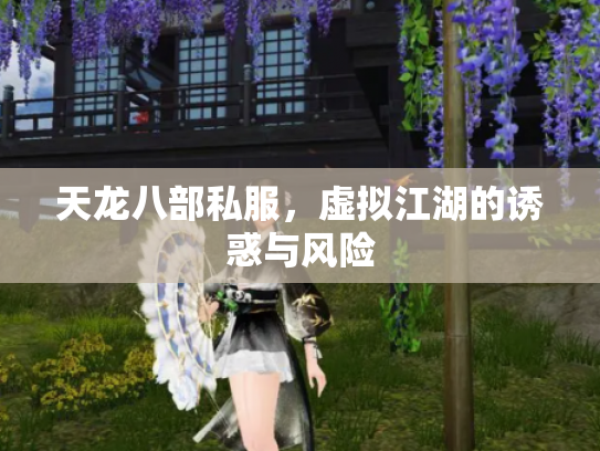 天龙八部私服，虚拟江湖的诱惑与风险