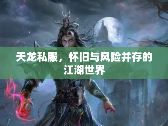 天龙私服，怀旧与风险并存的江湖世界