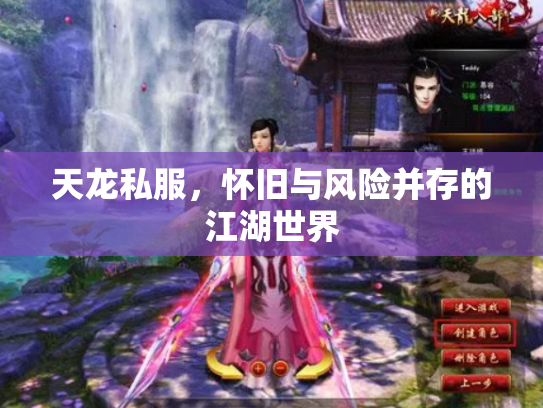 天龙私服，怀旧与风险并存的江湖世界