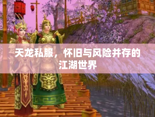 天龙私服，怀旧与风险并存的江湖世界