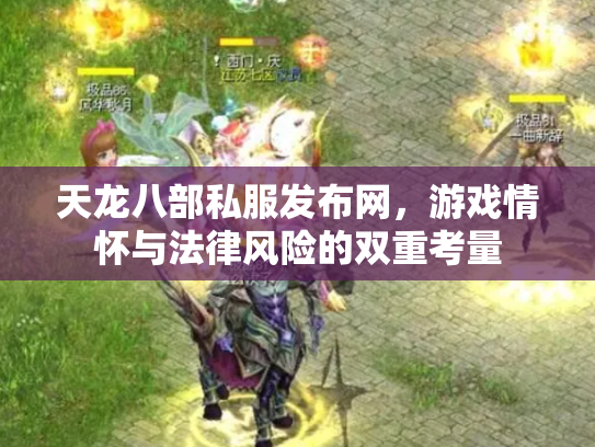 天龙八部私服发布网，游戏情怀与法律风险的双重考量