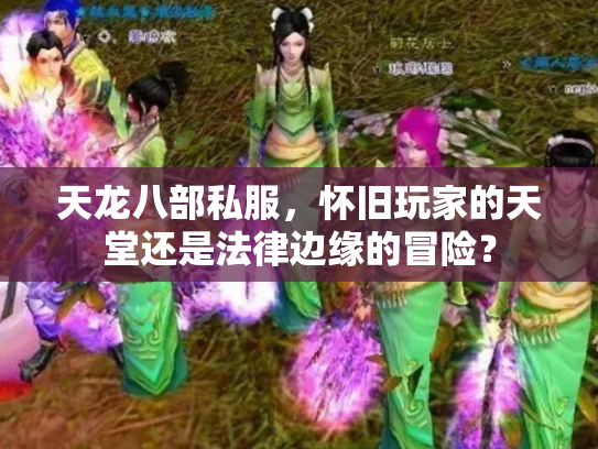 天龙八部私服，怀旧玩家的天堂还是法律边缘的冒险？
