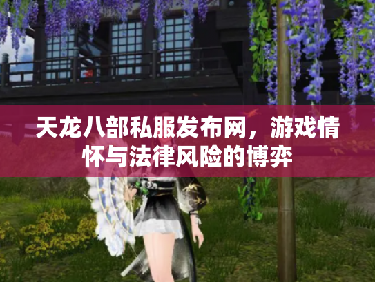 天龙八部私服发布网，游戏情怀与法律风险的博弈