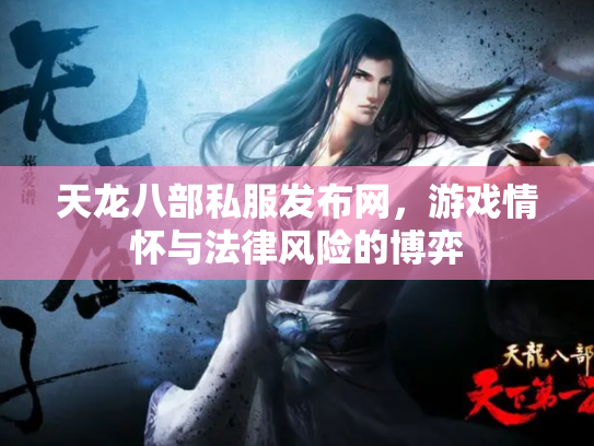 天龙八部私服发布网，游戏情怀与法律风险的博弈