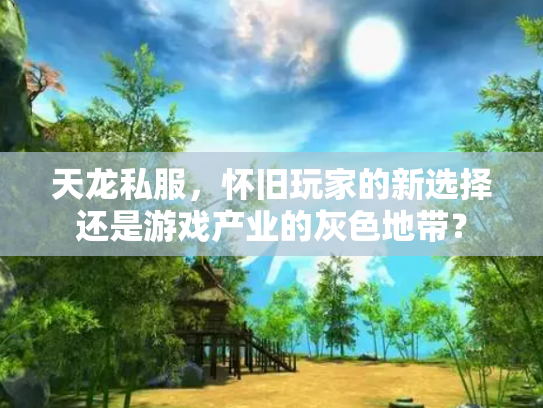 天龙私服，怀旧玩家的新选择还是游戏产业的灰色地带？