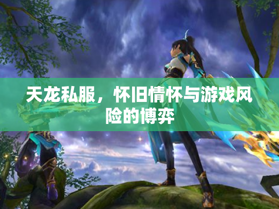 天龙私服，怀旧情怀与游戏风险的博弈