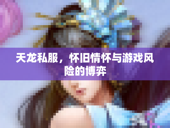 天龙私服，怀旧情怀与游戏风险的博弈