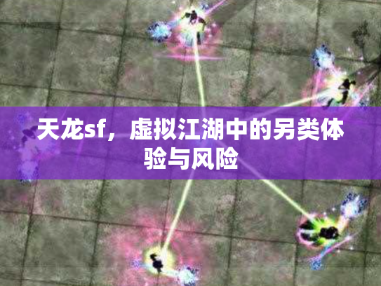 天龙sf，虚拟江湖中的另类体验与风险