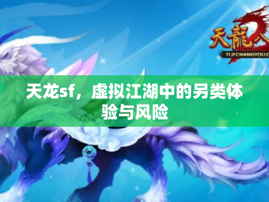 天龙sf，虚拟江湖中的另类体验与风险