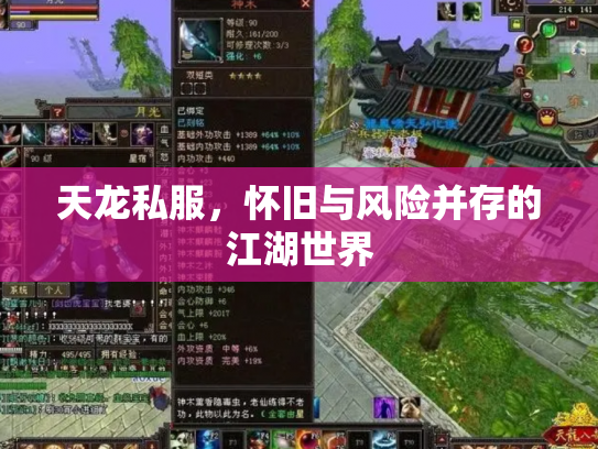 天龙私服，怀旧与风险并存的江湖世界
