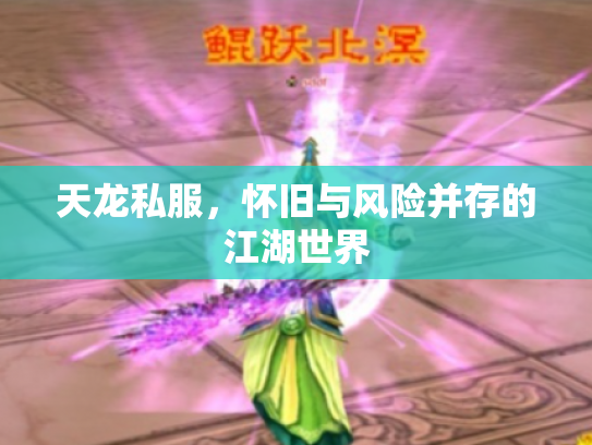 天龙私服，怀旧与风险并存的江湖世界