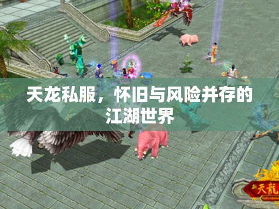 天龙私服，怀旧与风险并存的江湖世界
