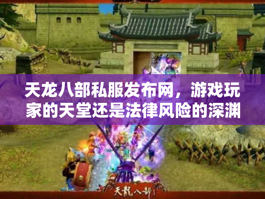 天龙八部私服发布网，游戏玩家的天堂还是法律风险的深渊？