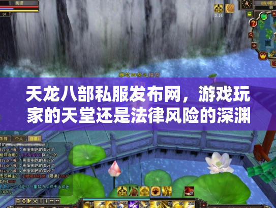 天龙八部私服发布网，游戏玩家的天堂还是法律风险的深渊？