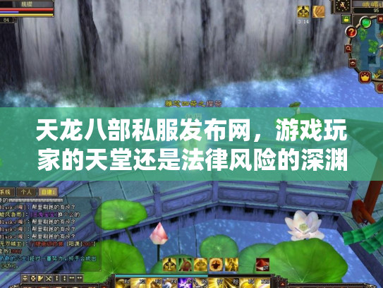 天龙八部私服发布网，游戏玩家的天堂还是法律风险的深渊？