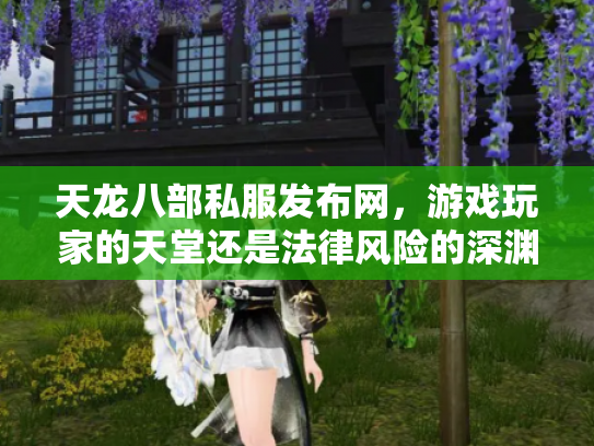 天龙八部私服发布网，游戏玩家的天堂还是法律风险的深渊？