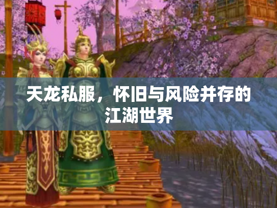 天龙私服，怀旧与风险并存的江湖世界