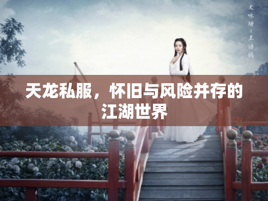 天龙私服，怀旧与风险并存的江湖世界