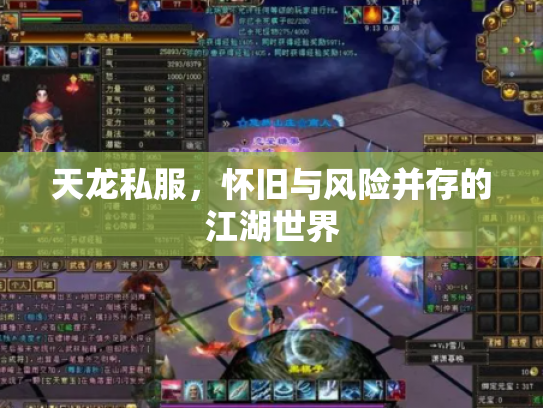 天龙私服，怀旧与风险并存的江湖世界