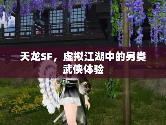 天龙SF，虚拟江湖中的另类武侠体验