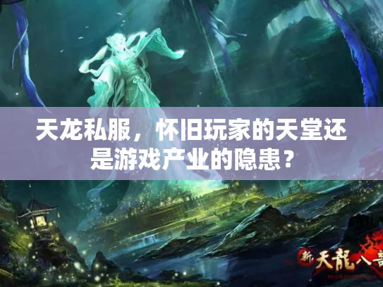 天龙私服，怀旧玩家的天堂还是游戏产业的隐患？