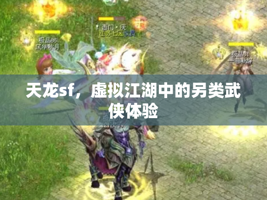 天龙sf，虚拟江湖中的另类武侠体验