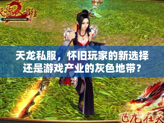 天龙私服，怀旧玩家的新选择还是游戏产业的灰色地带？